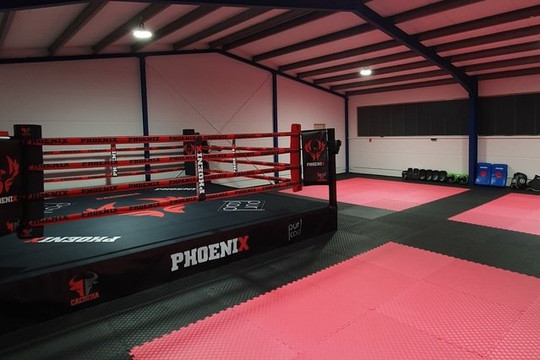 Bild 1 von Phoenix Kampfsportschule Partnergalerie