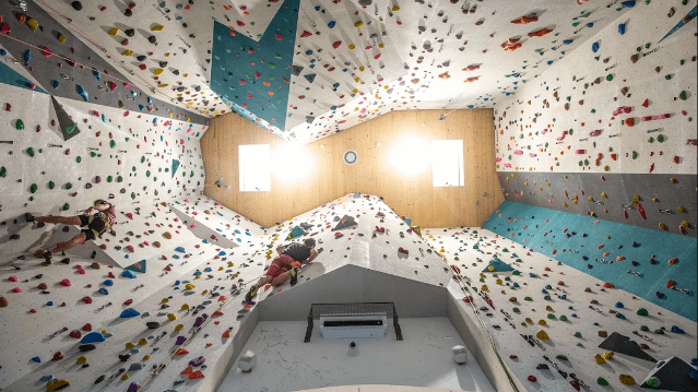 Immagine 1 dalla galleria del partner Monkeys' Planet - palestra di arrampicata indoor