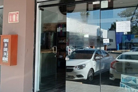 Imagen 2 de la galería del partner Árbol del Yoga Sur - Las Fuentes