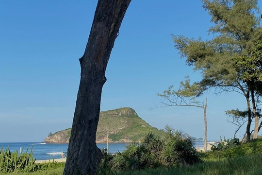 Imagem 3 da galeria do parceiro Origem Yoga Beach