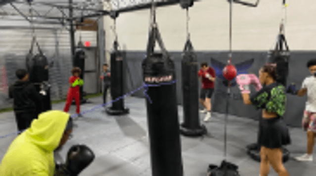 Image 3 from 2020 Martial Arts partner gallery