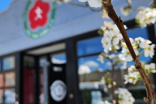 Image 2 from Denver Ving Tsun partner gallery