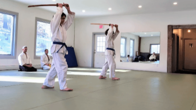 Image 3 from Hudson Valley Aikido partner gallery