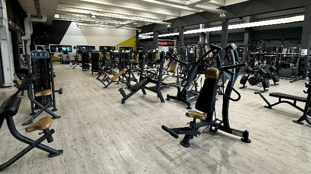 Immagine 2 dalla galleria del partner Alma Sport Lecce