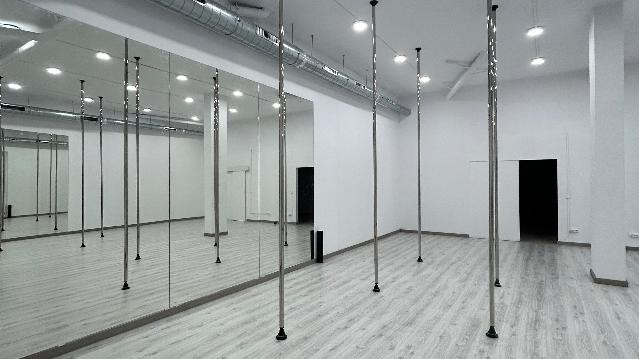 Imagen 1 de la galería del partner OLD SKULL POLE STUDIO