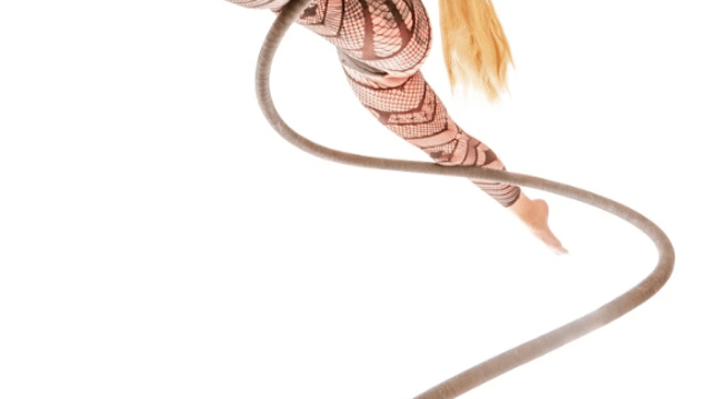 Image 3 from Pole & Aerial Fitness of SWFL partner gallery