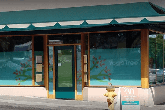 Image 1 from The Yoga Tree partner gallery