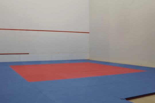 Immagine 1 dalla galleria del partner Geco Move