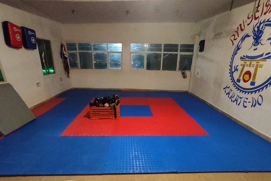 Imagen 3 de la galería del partner Ryu Seishin Kan Dojo Panorámica