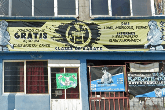 Imagen 2 de la galería del partner Ryu Seishin Kan Dojo Panorámica