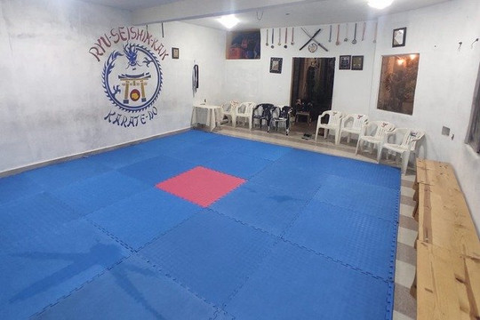 Imagen 1 de la galería del partner Ryu Seishin Kan Dojo Panorámica