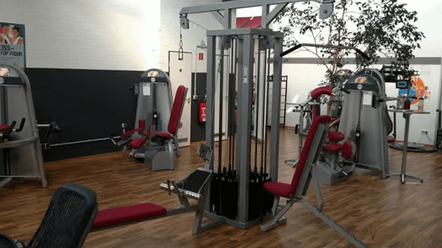 Bild 2 von Medi-fit Partnergalerie