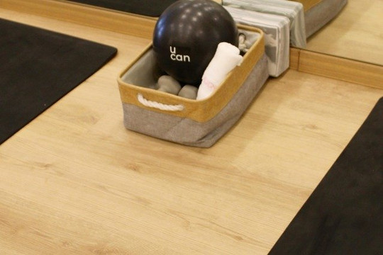 Imagen 1 de la galería del partner Align Barre Studio