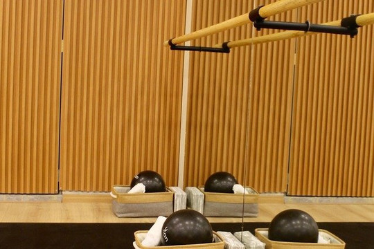 Imagen 3 de la galería del partner Align Barre Studio