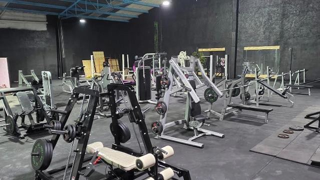 Imagen 3 de la galería del partner Jungle Gym