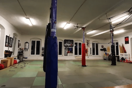 Bild 2 von RoninZ Kampfkunstschule Partnergalerie