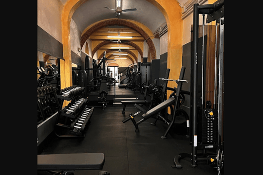 Immagine 3 dalla galleria del partner Elysium Boutique