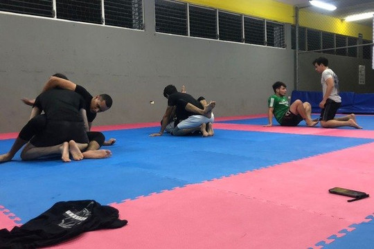 Imagen 3 de la galería del partner DREAM JIUJITSU MERIDA