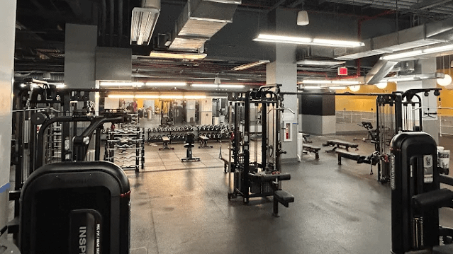 Image 2 from Complete Body- Grand Central partner gallery