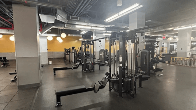 Image 3 from Complete Body- Grand Central partner gallery