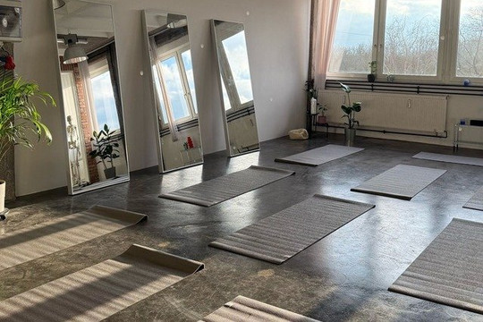 Bild 2 von SALUTE - Pilates Nürnberg Partnergalerie