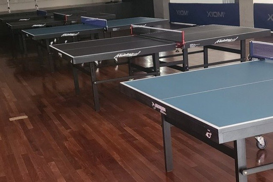 Imagem 3 da galeria do parceiro Associação Cultural e Assistencial Mie Kenjin do Brasil