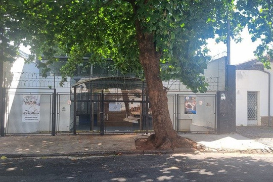 Imagem 2 da galeria do parceiro Krav Maga Campinas