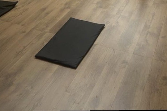 Imagem 3 da galeria do parceiro Studio Daniele Cominato Pilates e Fisioterapia