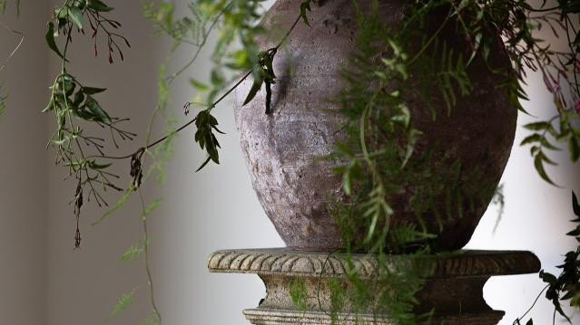 Image 3 from Forza Pilates - Franklin partner gallery