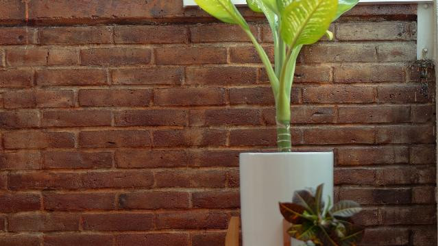 Imagen 3 de la galería del partner Loft de Yoga