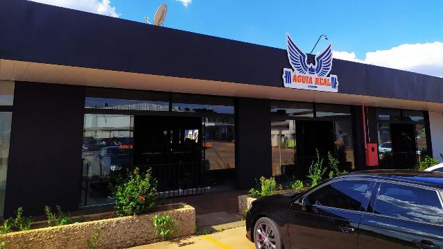 Imagem 2 da galeria do parceiro Águia Real Academia