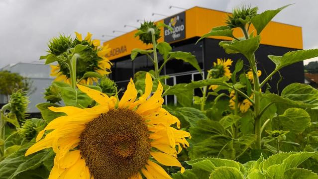 Imagem 2 da galeria do parceiro Estúdio Nanci