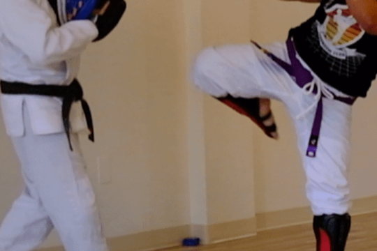 Image 3 from Endeavor Martial Arts partner gallery