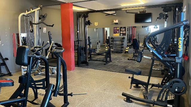 Imagem 1 da galeria do parceiro Lion Academia