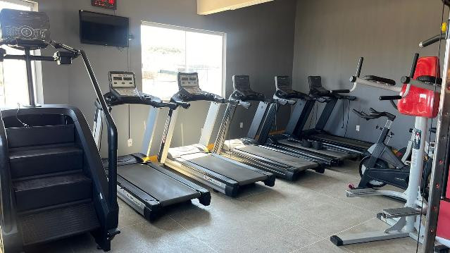 Imagem 3 da galeria do parceiro Lion Academia