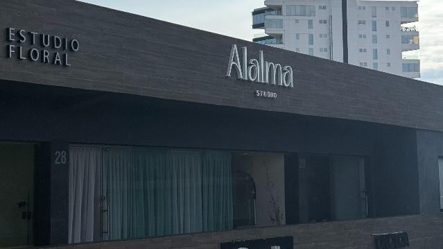 Imagen 2 de la galería del partner Alalma Studio