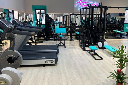 Immagine 3 dalla galleria del partner Athena Sporting Club Civitavecchia