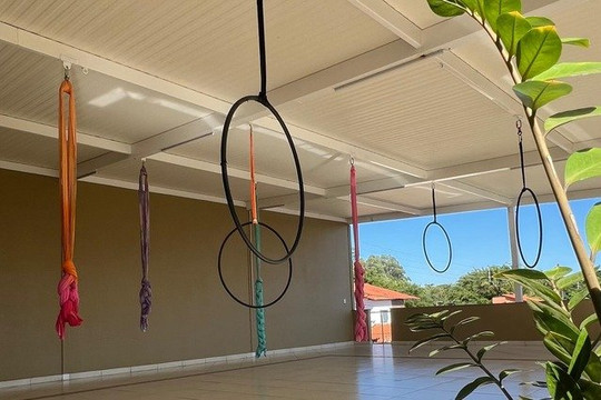 Imagem 1 da galeria do parceiro Voarte Acrobacias