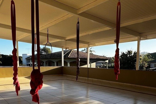 Imagem 2 da galeria do parceiro Voarte Acrobacias