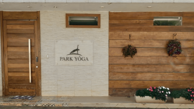 Imagem 2 da galeria do parceiro Voarte Acrobacias