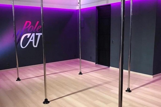 Imagem 3 da galeria do parceiro PoleCat