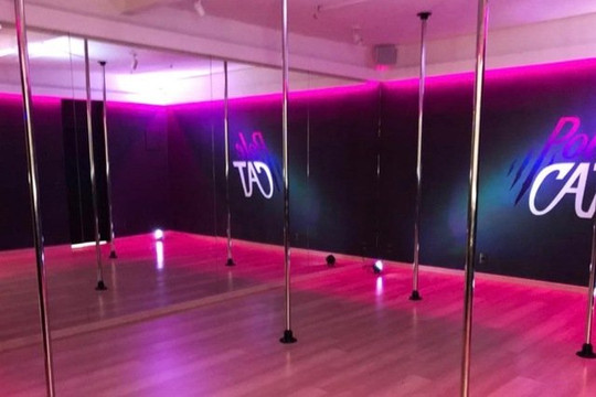 Imagem 1 da galeria do parceiro PoleCat