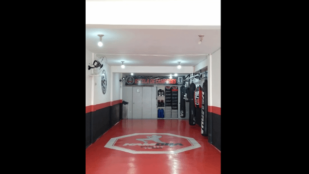 Imagem 1 da galeria do parceiro Kamoha Fight Team