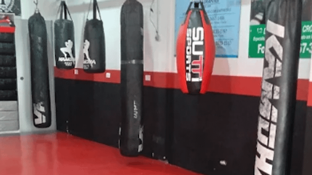 Imagem 2 da galeria do parceiro Kamoha Fight Team
