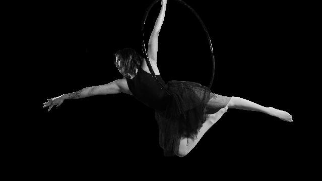 Imagen 1 de la galería del partner SINERGIA Danza Aérea