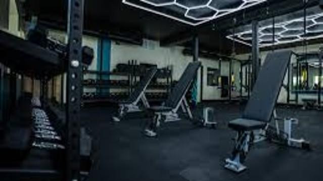 Image 3 from Iron Roots Fitness partner gallery