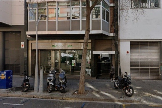 Imagen 2 de la galería del partner QPILATES