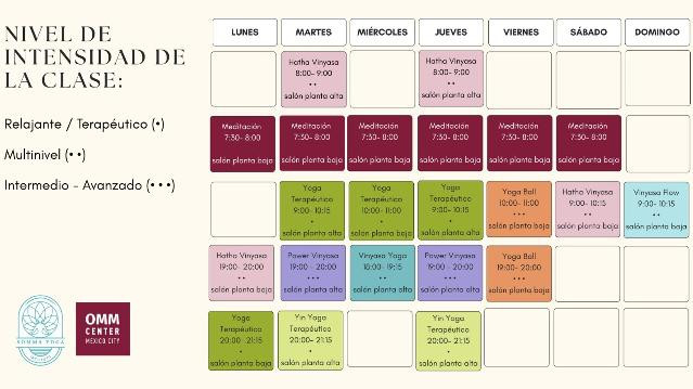 Imagen 1 de la galería del partner Somma Yoga