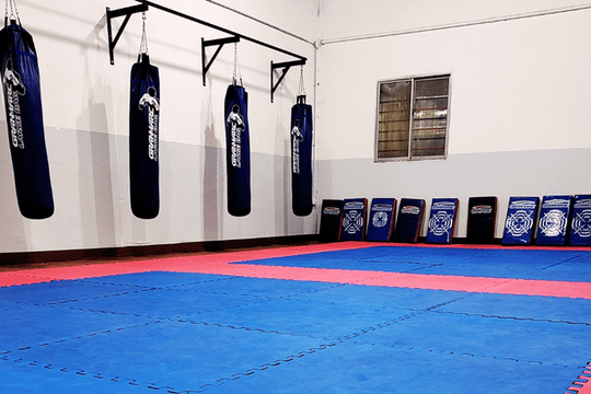 Imagen 2 de la galería del partner Academia Argentina de Taekwon-Do