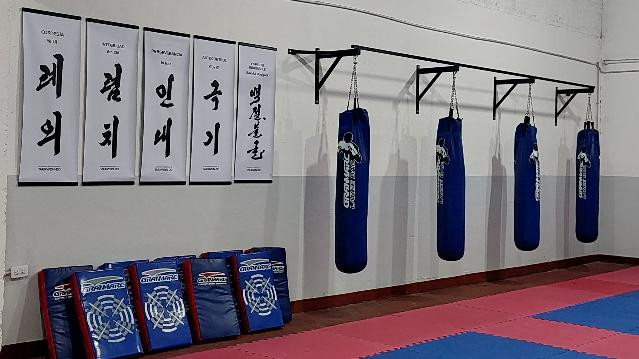 Imagen 1 de la galería del partner Academia Argentina de Taekwon-Do